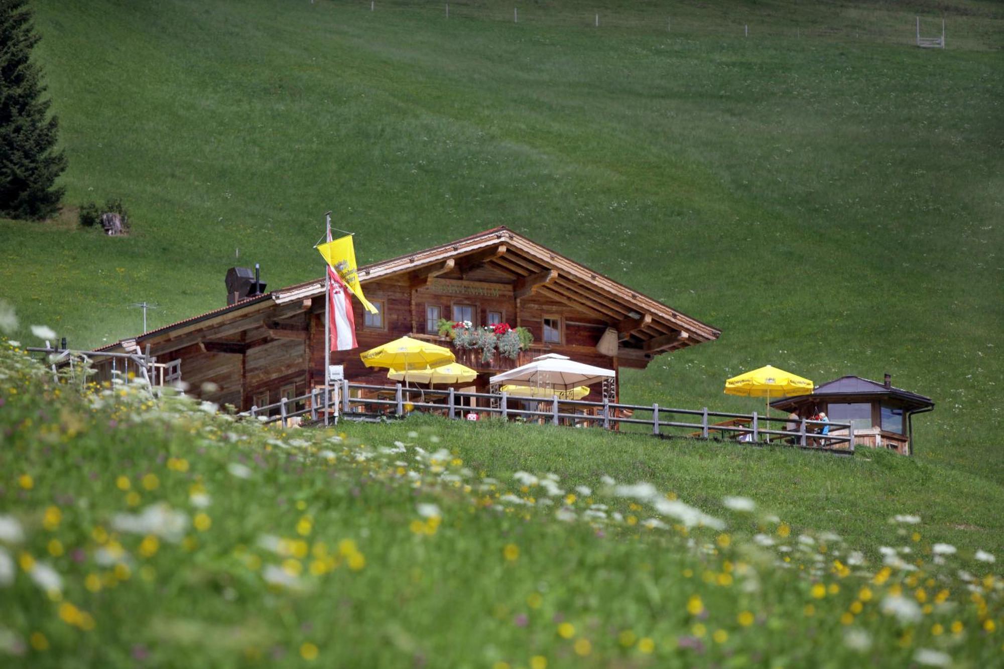 Salvenalm Villa Hopfgarten im Brixental Exterior photo